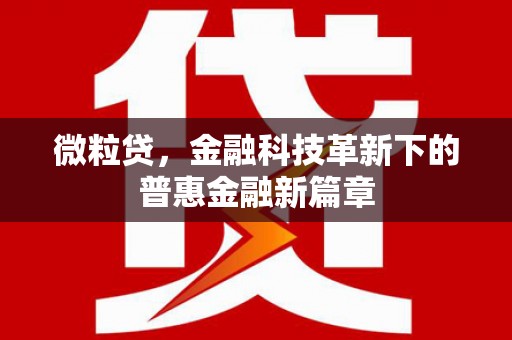 玛家微粒贷，金融科技革新下的普惠金融新篇章