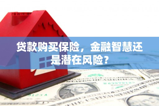 玛家贷款购买保险，金融智慧还是潜在风险？