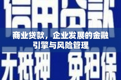 玛家商业贷款，企业发展的金融引擎与风险管理