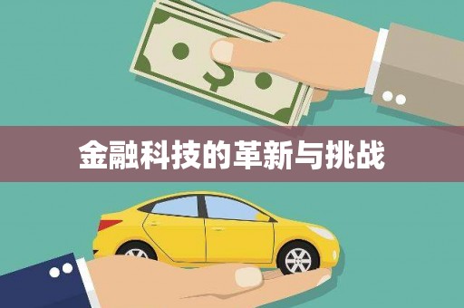 玛家金融科技的革新与挑战
