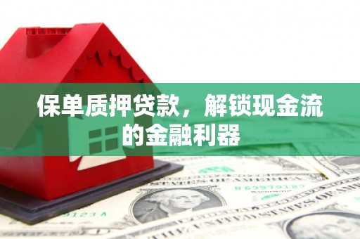 玛家保单质押贷款，解锁现金流的金融利器