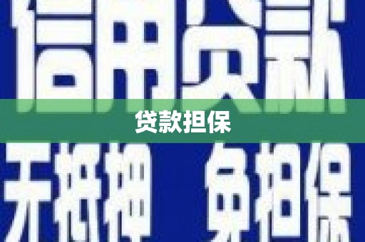 玛家贷款担保