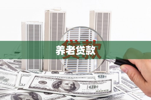 玛家养老贷款