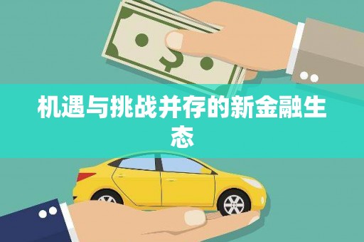 玛家机遇与挑战并存的新金融生态