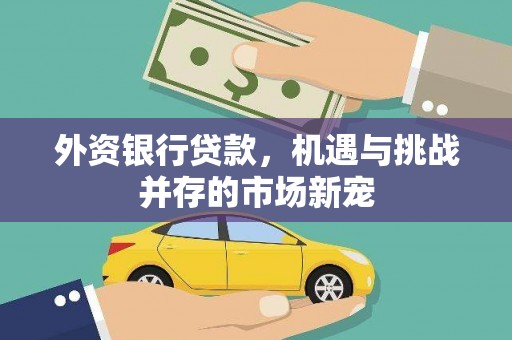 玛家外资银行贷款，机遇与挑战并存的市场新宠