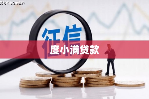 玛家度小满贷款
