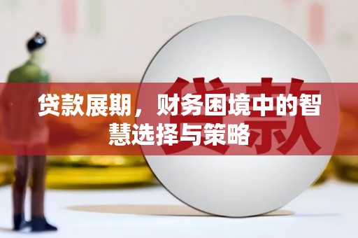 玛家贷款展期，财务困境中的智慧选择与策略