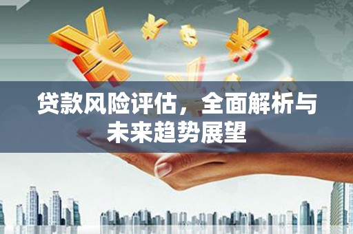 玛家贷款风险评估，全面解析与未来趋势展望