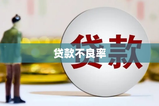 玛家贷款不良率
