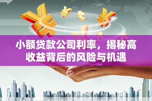 玛家小额贷款公司利率，揭秘高收益背后的风险与机遇