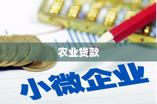 玛家农业贷款
