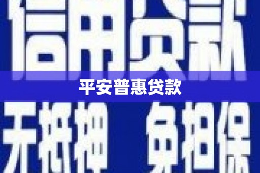 玛家平安普惠贷款
