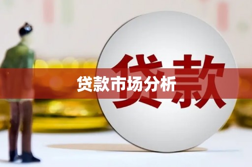 玛家贷款市场分析