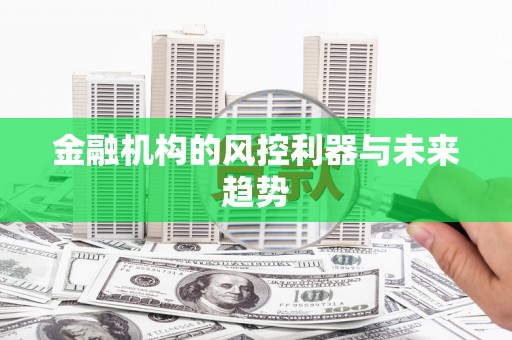玛家金融机构的风控利器与未来趋势
