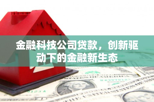 玛家金融科技公司贷款，创新驱动下的金融新生态