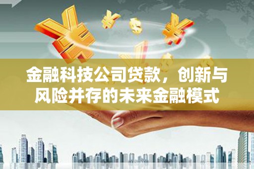 玛家金融科技公司贷款，创新与风险并存的未来金融模式