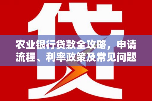 玛家农业银行贷款全攻略，申请流程、利率政策及常见问题解析