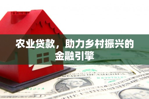 玛家农业贷款，助力乡村振兴的金融引擎