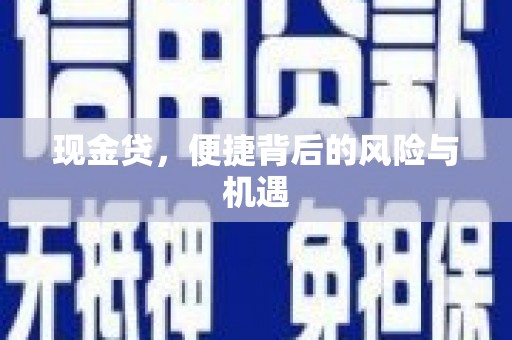 玛家现金贷，便捷背后的风险与机遇