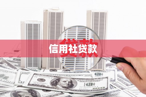 玛家信用社贷款