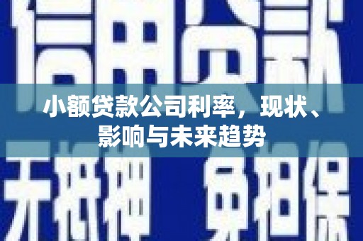 玛家小额贷款公司利率，现状、影响与未来趋势