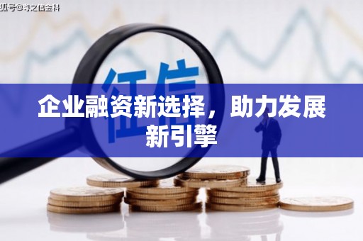 玛家企业融资新选择，助力发展新引擎