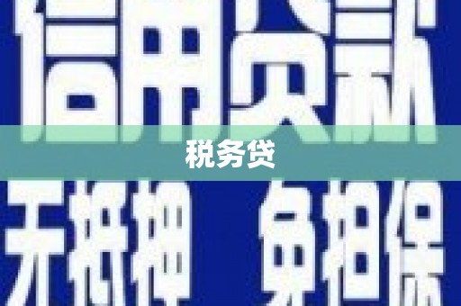 玛家税务贷