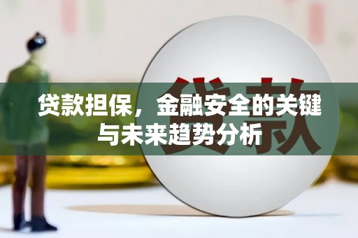 玛家贷款担保，金融安全的关键与未来趋势分析