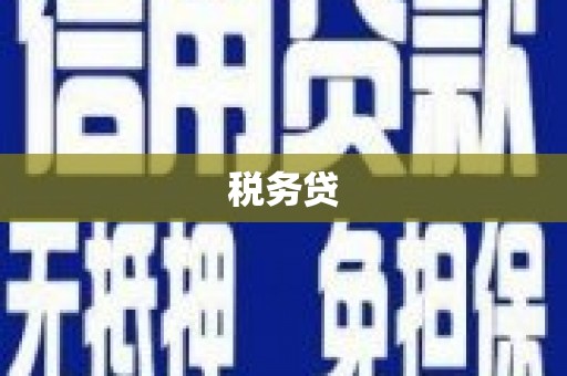 玛家税务贷