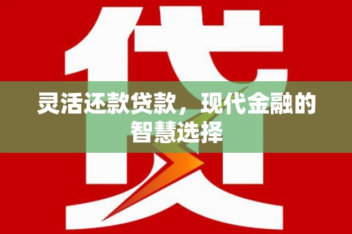 玛家灵活还款贷款，现代金融的智慧选择