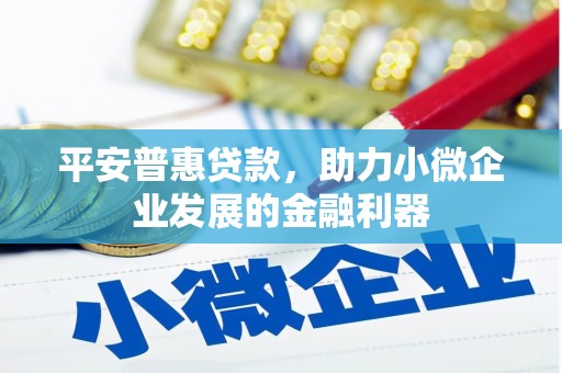 玛家平安普惠贷款，助力小微企业发展的金融利器
