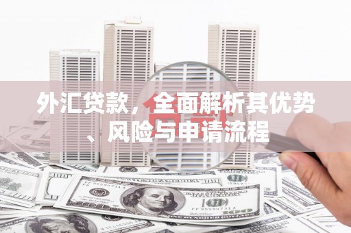 玛家外汇贷款，全面解析其优势、风险与申请流程