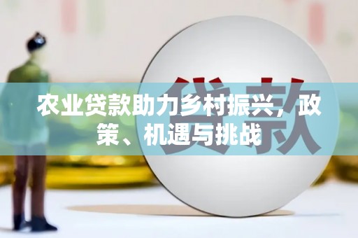 玛家农业贷款助力乡村振兴，政策、机遇与挑战