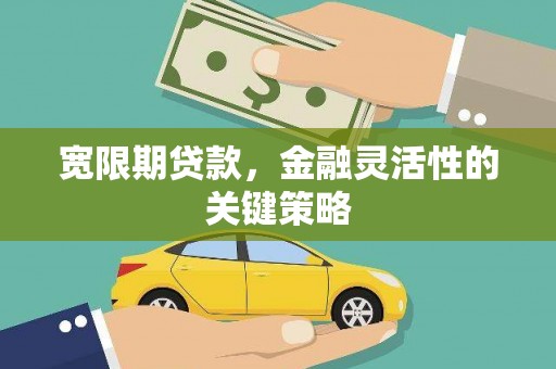 玛家宽限期贷款，金融灵活性的关键策略