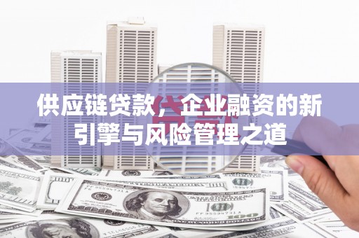 玛家供应链贷款，企业融资的新引擎与风险管理之道