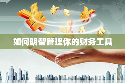 玛家如何明智管理你的财务工具