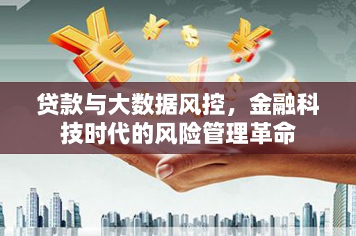 玛家贷款与大数据风控，金融科技时代的风险管理革命