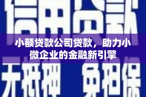 玛家小额贷款公司贷款，助力小微企业的金融新引擎