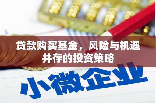玛家贷款购买基金，风险与机遇并存的投资策略
