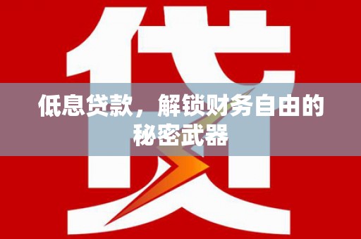 玛家低息贷款，解锁财务自由的秘密武器