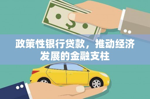 玛家政策性银行贷款，推动经济发展的金融支柱