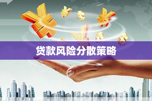 玛家贷款风险分散策略