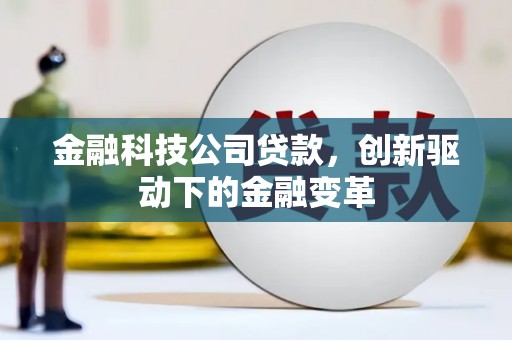 玛家金融科技公司贷款，创新驱动下的金融变革
