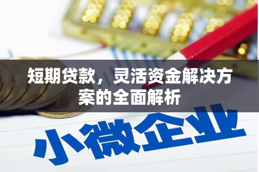 玛家短期贷款，灵活资金解决方案的全面解析