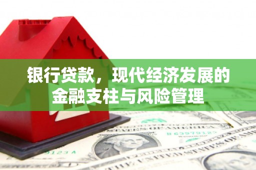 玛家银行贷款，现代经济发展的金融支柱与风险管理