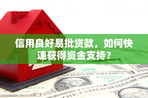 玛家信用良好易批贷款，如何快速获得资金支持？