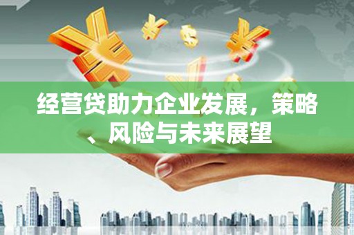玛家经营贷助力企业发展，策略、风险与未来展望