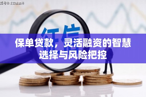 玛家保单贷款，灵活融资的智慧选择与风险把控