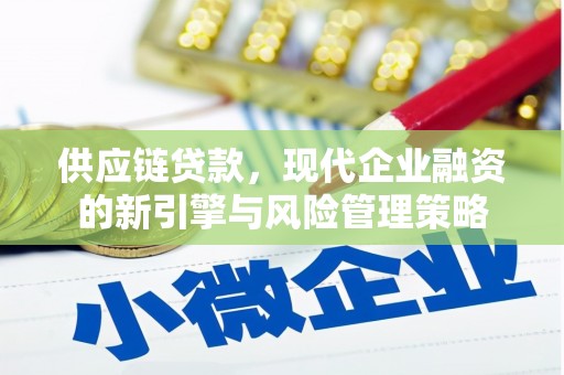 玛家供应链贷款，现代企业融资的新引擎与风险管理策略