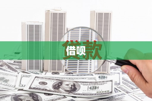 玛家借呗